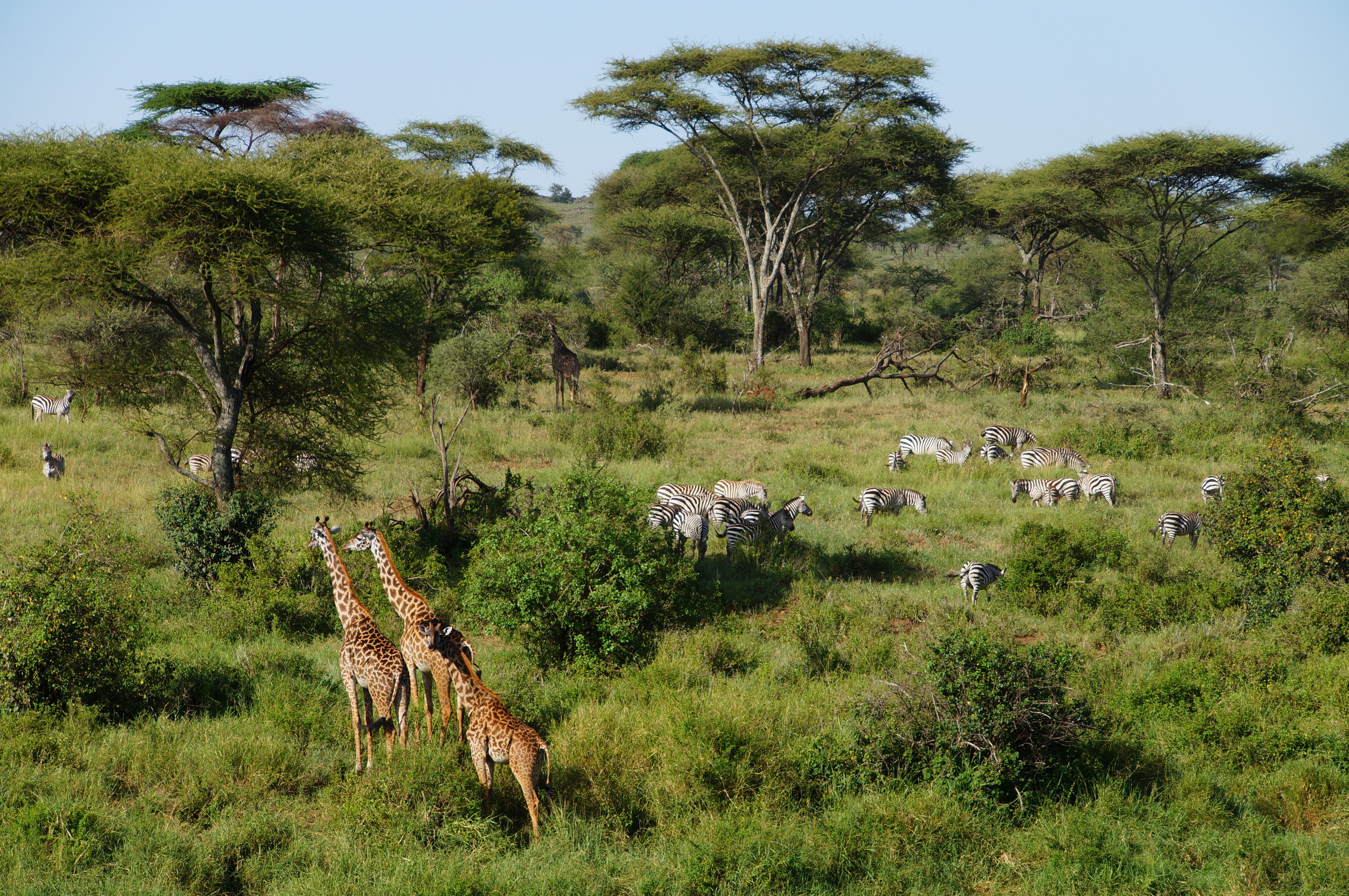 Arusha National Park — image 2