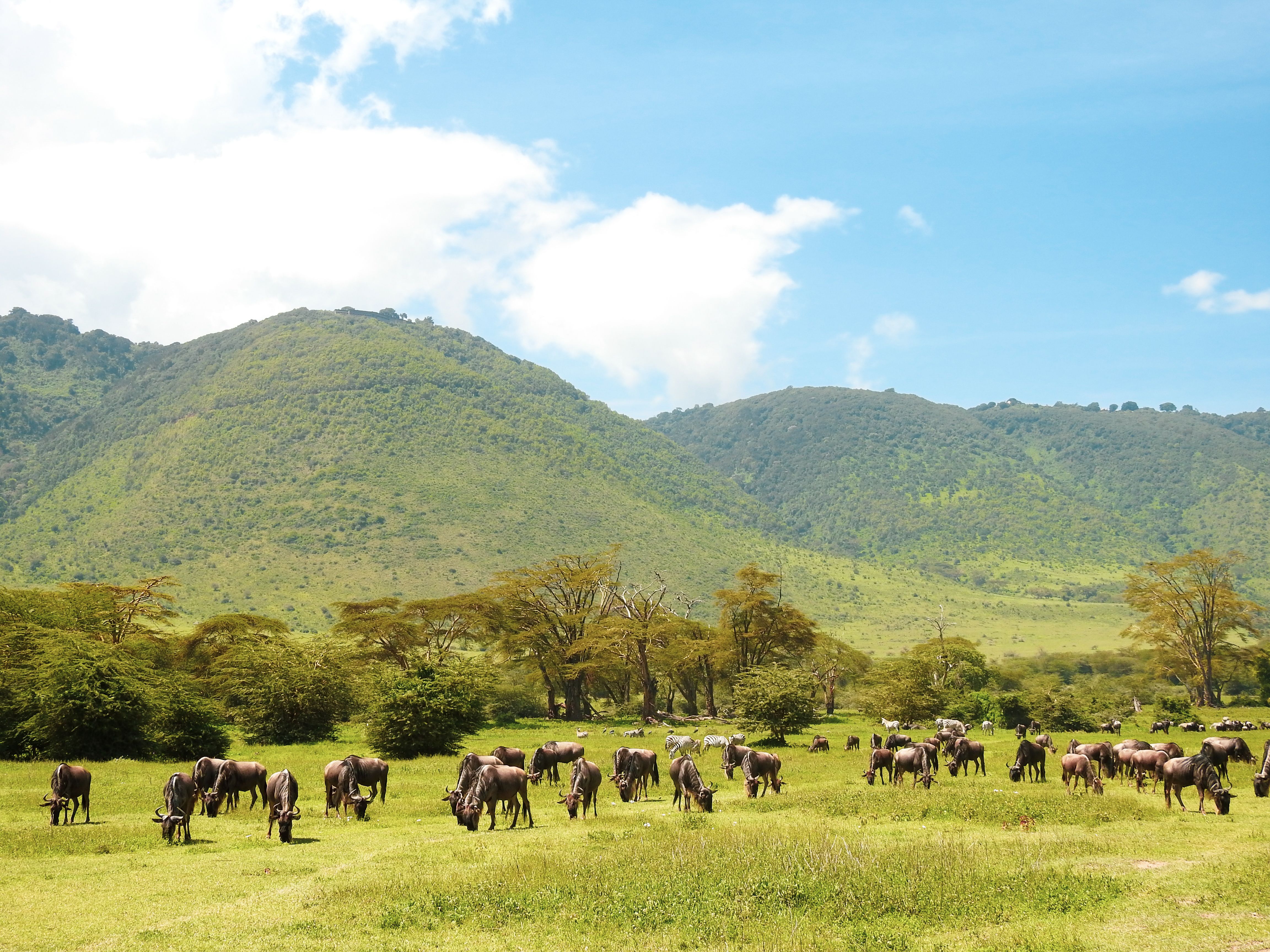 Arusha National Park