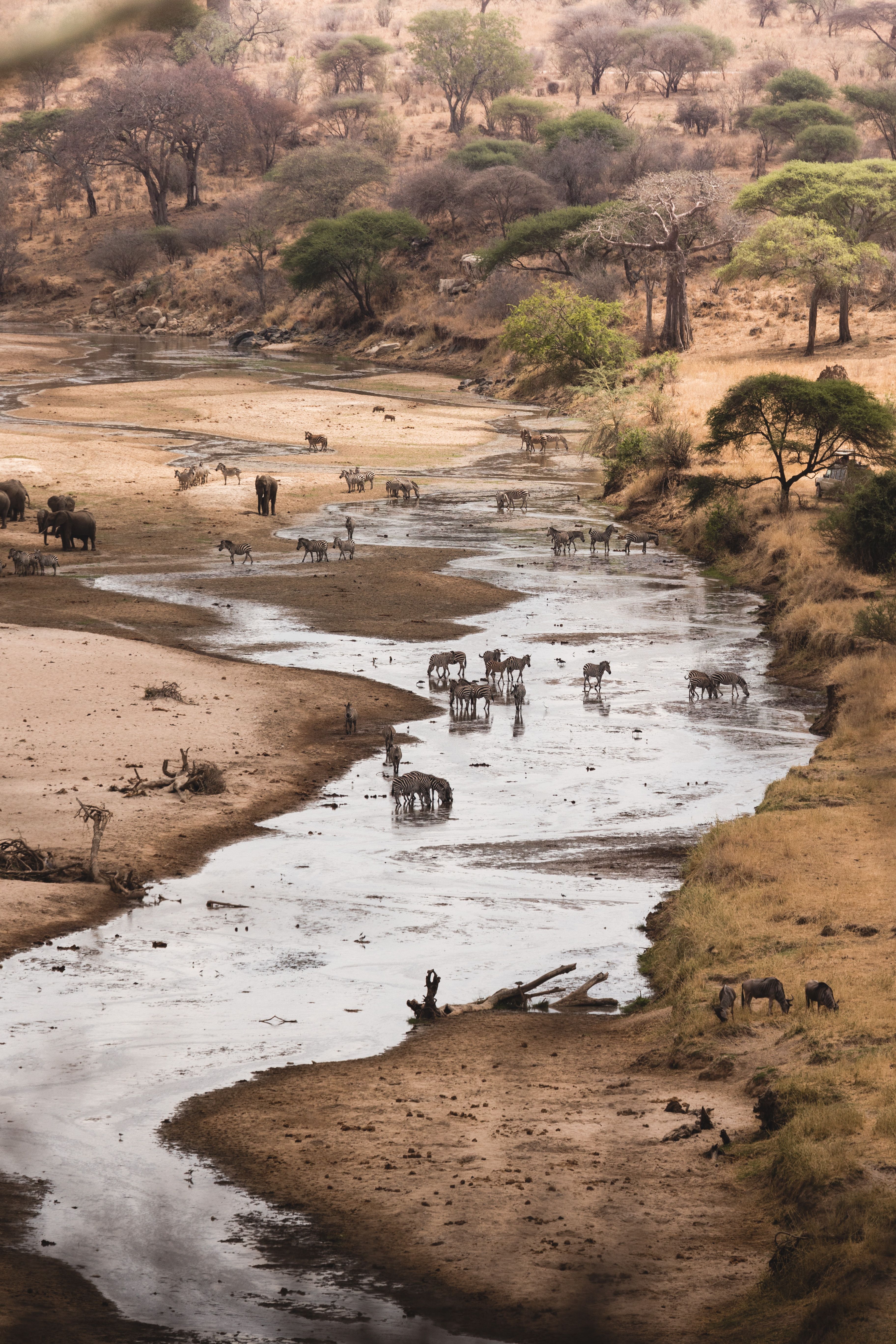 Ruaha — image 2